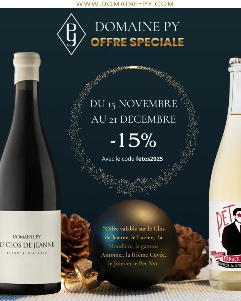 Instagram Post Noël Animé Noir et Or